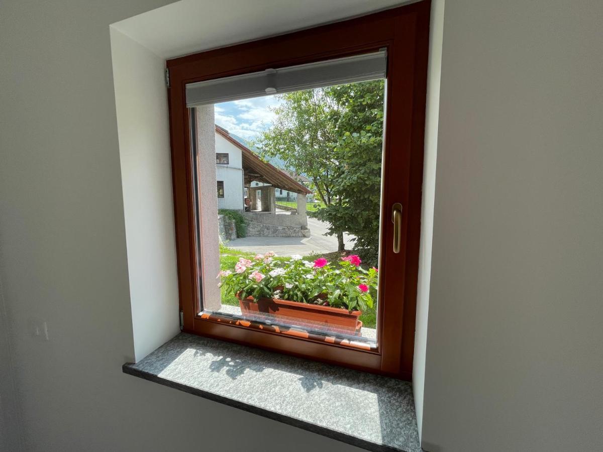 Apartma 7 - In The Heart Of Soca Valley Tolmin Zewnętrze zdjęcie
